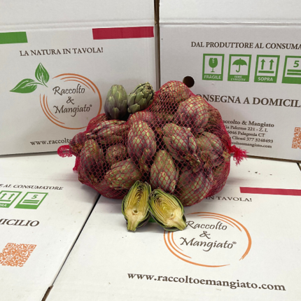 Carciofina violetto in confezione da 3 kg