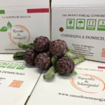 Carciofo Romanesco