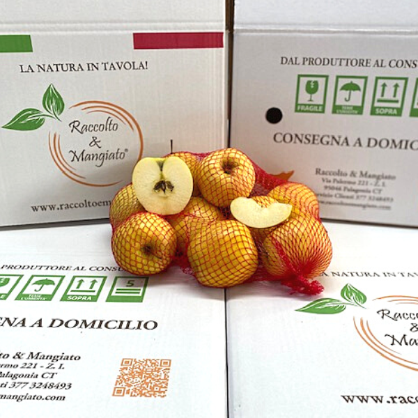 MELE_GOLDEN_2KG.png Mele Golden Delicius da 1,5 kg o 3 kg - immagine 1