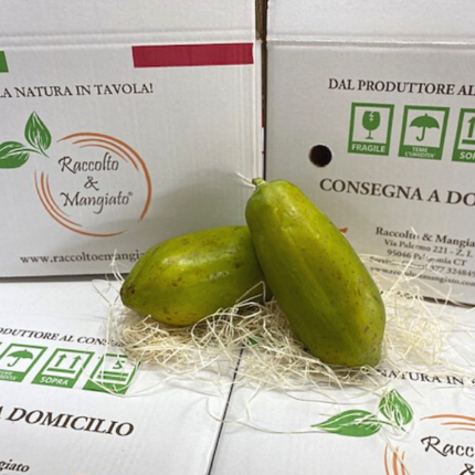 Papaya Siciliana | Confezione da circa 1,5 kg