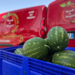 Confezione Anguria di Sicilia | Spedizione gratuita - immagine 2