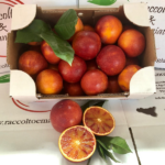 Arance Tarocco Ippolito in rete da 3 kg