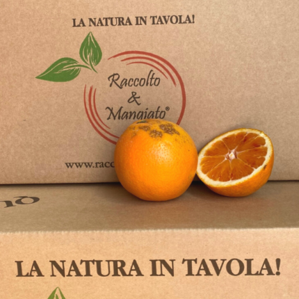 Arance Tarocco Imperfette in rete da 5 kg