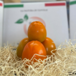 Cachi Mela | da 1,5 o da 3 kg - immagine 2