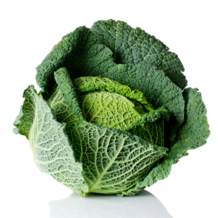 Cavolo Verza