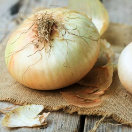 Cipolle Giarratana confezione da 2 kg