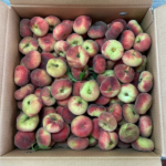 Pesca Tabacchiera imperfetta - Confezione da 8kg