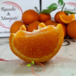 Tacle' rete da 3 kg - immagine 2