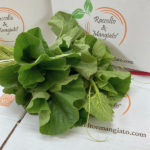 Tenerumi freschi - immagine 2