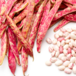 Fagioli borlotti freschi da 500 gr – Image 2