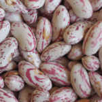 Fagioli borlotti freschi da 500 gr – Image 3