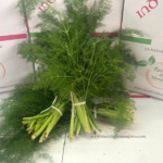 Finocchietto selvatico 1 mazzo da 250/300 gr – Image 2