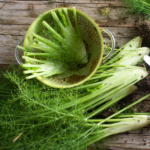 Finocchietto selvatico 1 mazzo da 250/300 gr – Image 3