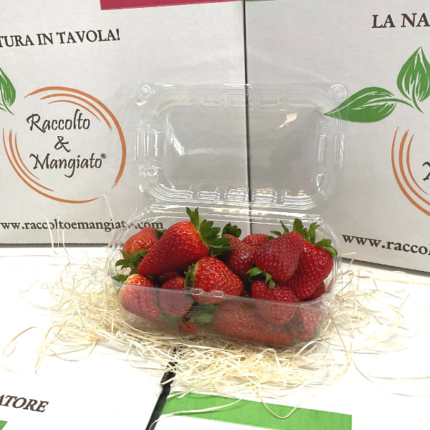 Fragole in vaschetta 250 gr