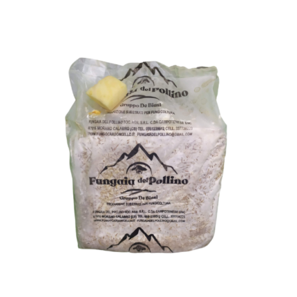 Kit coltivazione Funghi Cardoncelli - Confezione da 1 Balla