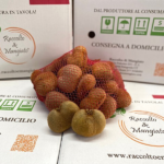 Confezione da 3 kg Kiwi Hayward Imperfetti