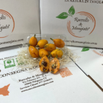 Nespole siciliane vaschetta da 500 gr