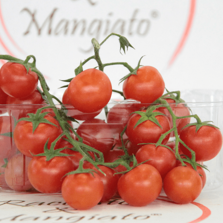 pomodoro_ciliegino_bio_prodotto.png Pomodoro ciliegino da 500 gr - immagine 1