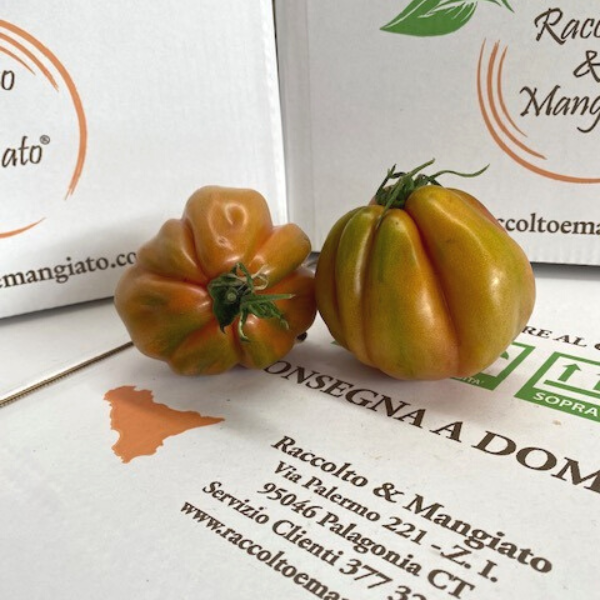 pomodoro_cuore_di_bue-2.png Pomodoro cuore di bue 900 gr - immagine 1