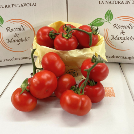 Pomodoro Rosso a grappolo 1 kg