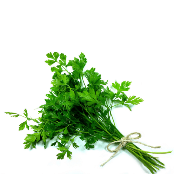 prezzemolo_prodotto-1.png Prezzemolo fresco da 150 gr - immagine 1