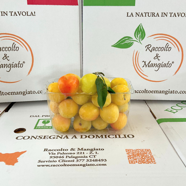 susine-bianche.png Susine bianche - immagine 1