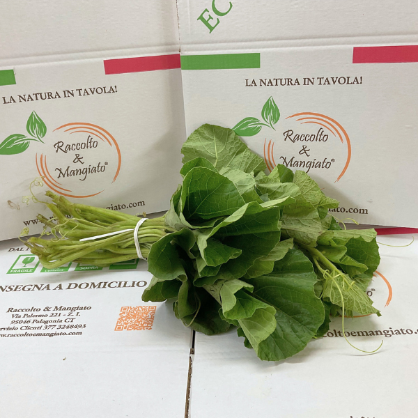 tenerumi-2.png Tenerumi freschi - immagine 1