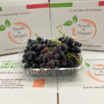 Uva Nera da tavola Black Magic da 1 kg