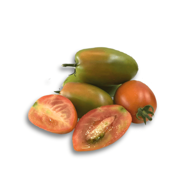 Pomodoro Verde 500 gr Pomodoro Verde 500 gr