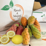 Confezione Limoni e Fichi d'India "Bastardoni"