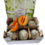 Confezione Melone Retato