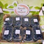 Confezione da 16 Vaschette (125g) | Mirtilli Neri Siciliani | Spedizione Gratuita