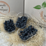 Confezione da 16 Vaschette (125g) | Mirtilli Neri Siciliani | Spedizione Gratuita - Image 2