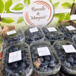 Confezione da 16 Vaschette (125g) | Mirtilli Neri Siciliani | Spedizione Gratuita - Image 3