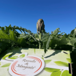 Carciofi Violetto - immagine 4