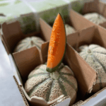 Confezione Melone Retato | Spedizione Gratuita – Image 2