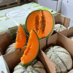 Confezione Melone Retato