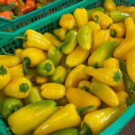 Peperoni snack | Confezioni da 500 gr - Image 5