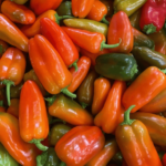 Peperoni snack | Confezioni da 500 gr - Image 4