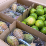 Confezione Limoni e Fichi d'India "Bastardoni" - Image 2