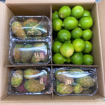 Confezione Limoni e Fichi d'India "Bastardoni" - Image 3