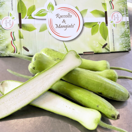 Zucchine dei tenerumi