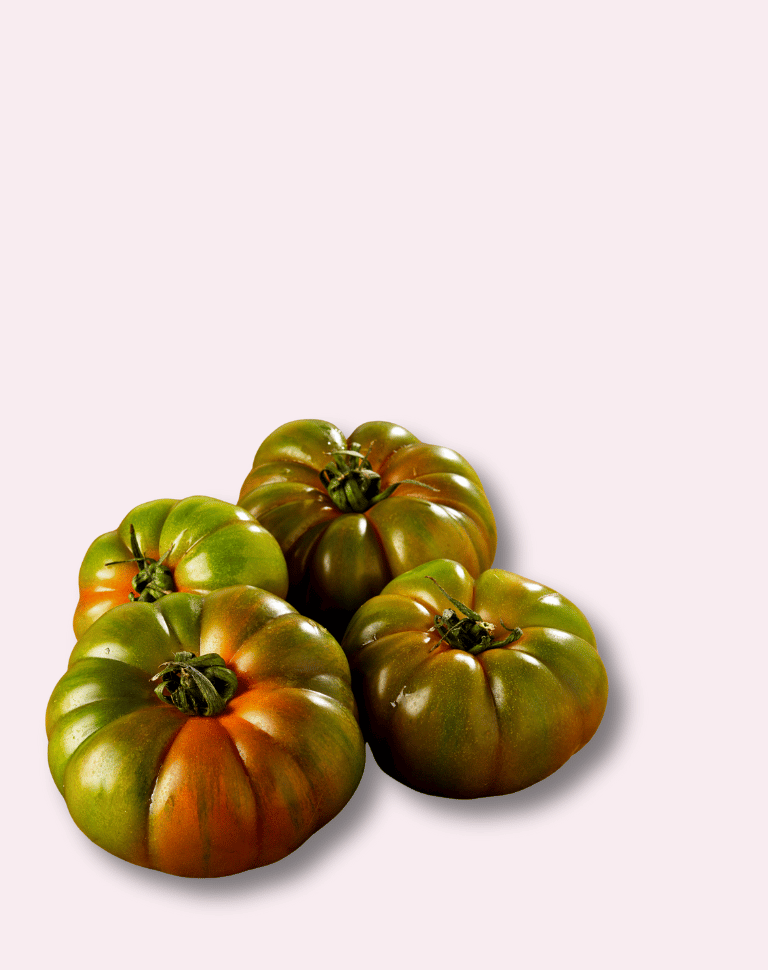 Pomodoro Costoluto bio