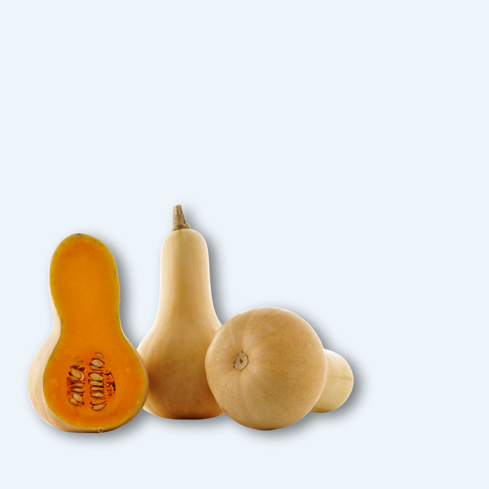 Zucca Butternut